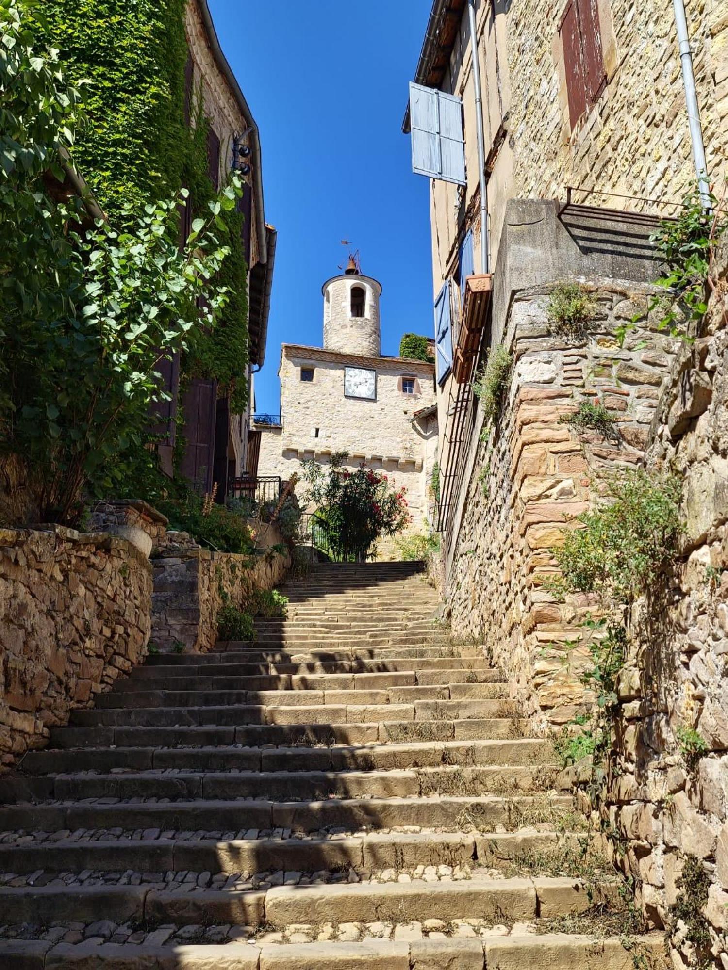 Puechblanc Gites Et Chambre D'Hote Dans Le Triangle D'Or Gaillac-Albi-Cordes Sur Ciel Fayssac Екстериор снимка