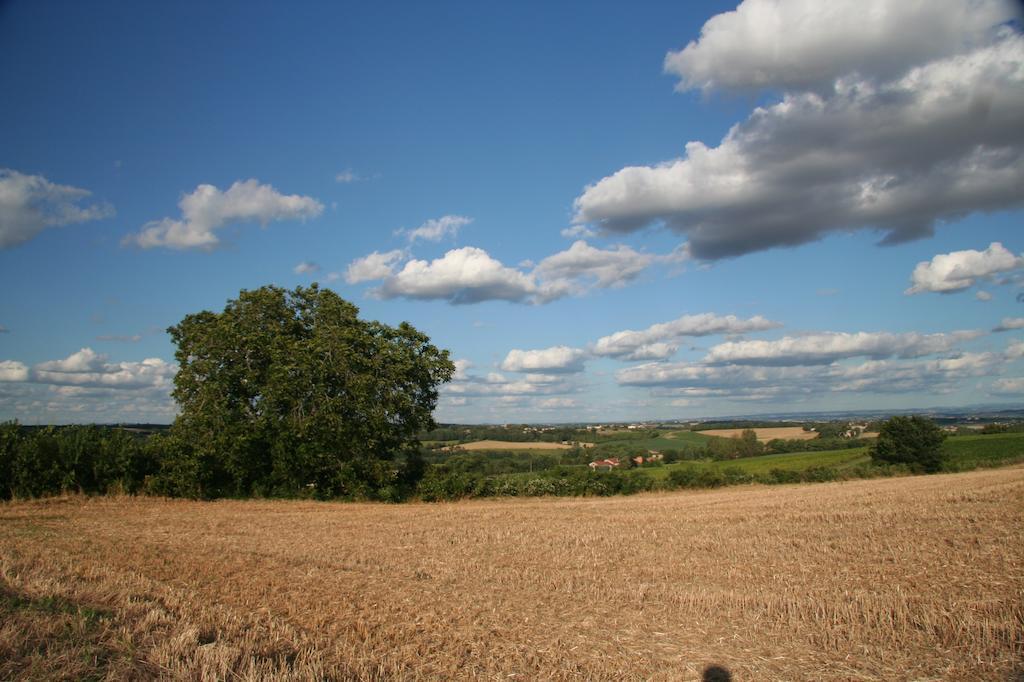 Puechblanc Gites Et Chambre D'Hote Dans Le Triangle D'Or Gaillac-Albi-Cordes Sur Ciel Fayssac Екстериор снимка